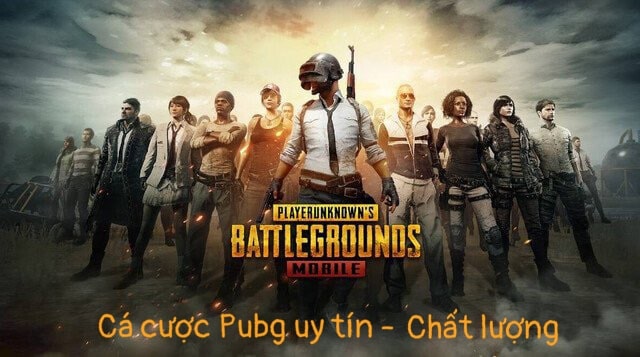 Giới thiệu về cá cược Pubg Giới thiệu về cá cược Pubg