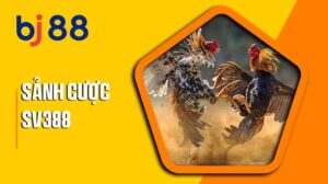 Sảnh cược SV388 tại Đá Gà BJ88